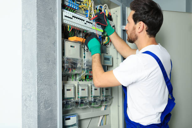 Best Electric Panel Repair  in Lodi, OH